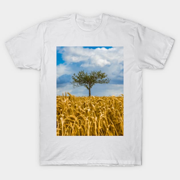 Single tree in a field of Wheat T-Shirt by Femaleform